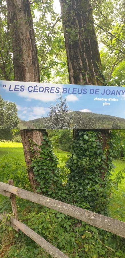 Cedres Bleus De Joany Chez Nathalie Hotel Viviez Exterior foto