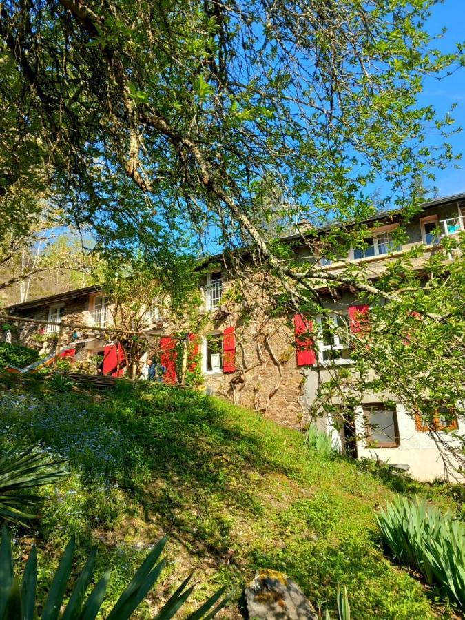 Cedres Bleus De Joany Chez Nathalie Hotel Viviez Exterior foto